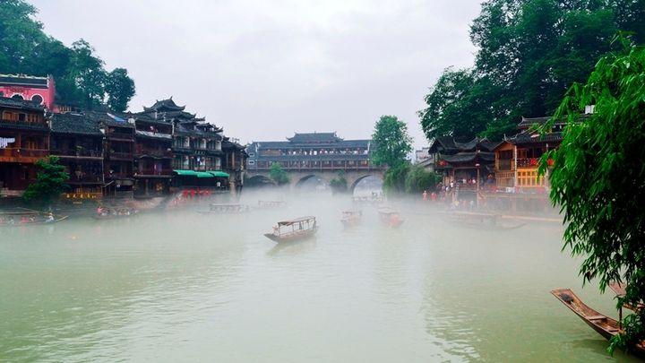 少壮不努力老大徒伤悲出自哪首诗（诗经全部简介）