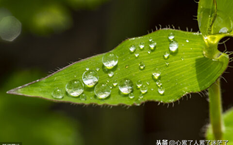 年轻真好的经典句子（经典名句语句赏析）