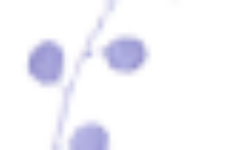 女生描写外貌的好句子大全（人物外貌描写优美句段）