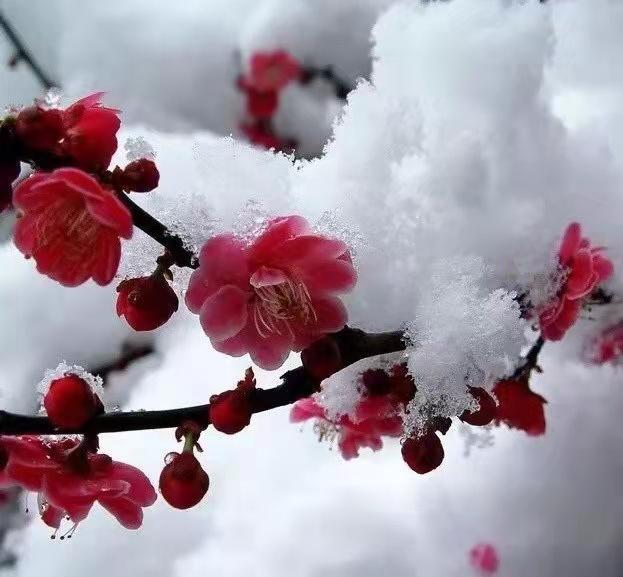 教师教育格言一句话（优秀教师格言简短）