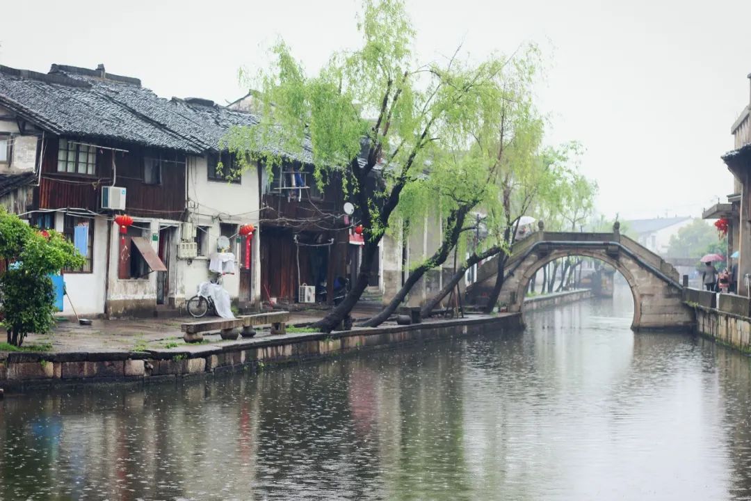 春天来了的诗句有哪些（冬去春来的经典语句）