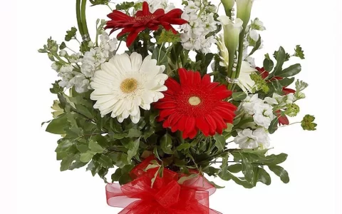 野望古诗原文（野望全文意思和解释）