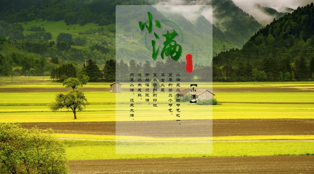 二十四节气小满古诗（小满节气的诗词集锦）