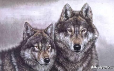 狼子野心文言文赏析（比较有寓意的文言文）