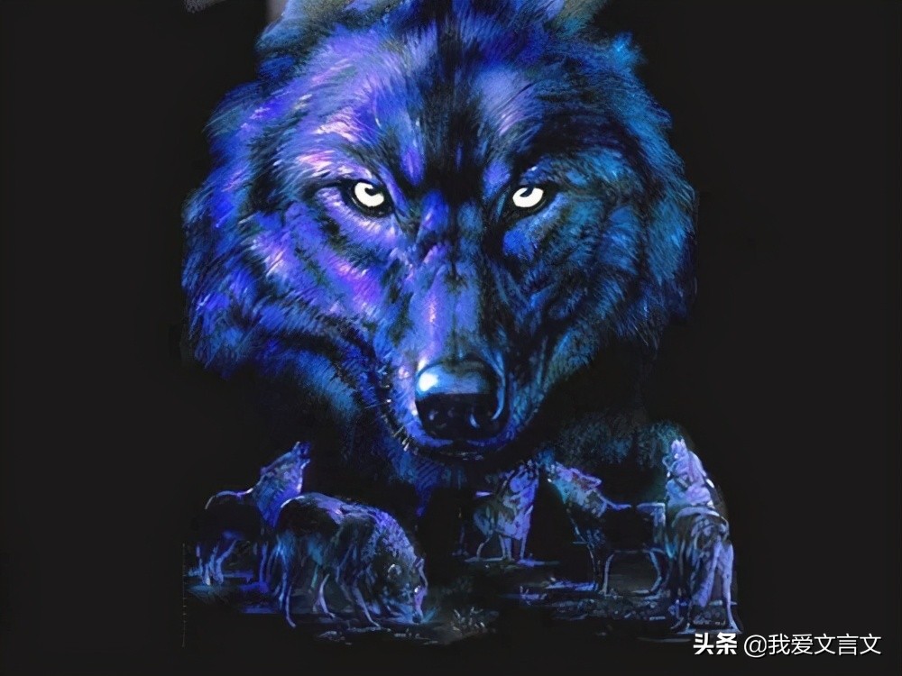 狼子野心文言文赏析（比较有寓意的文言文）