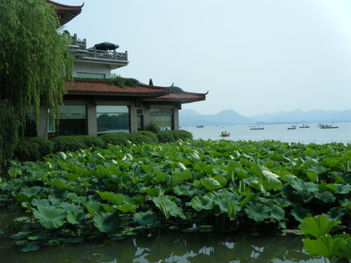 学会感恩的句子经典语录（人一定要学会感恩）