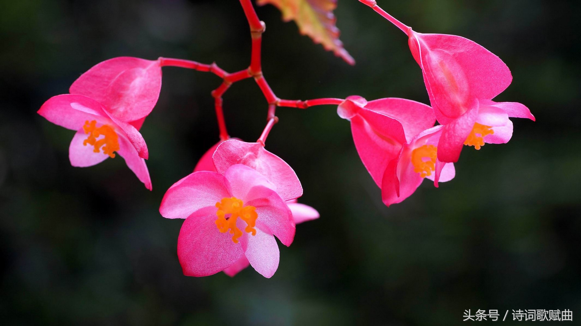 高适的送别诗有哪些（高适的送别的千古名句）