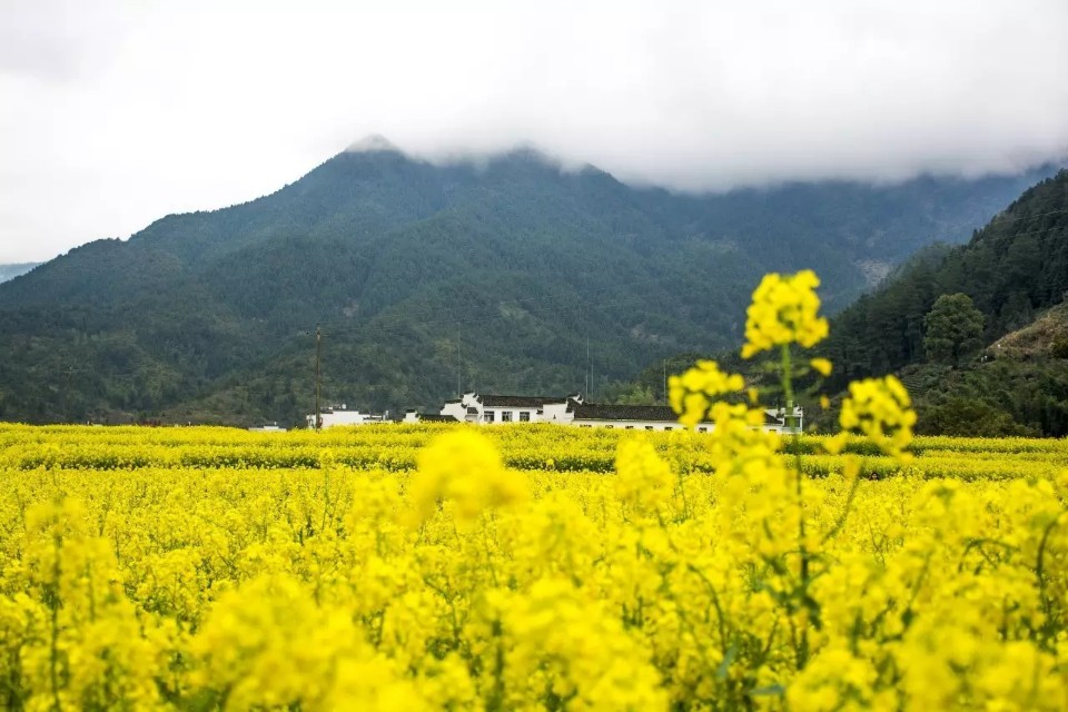 贺新郎甚矣吾衰矣（贺新郎甚矣吾衰矣表达的观点）