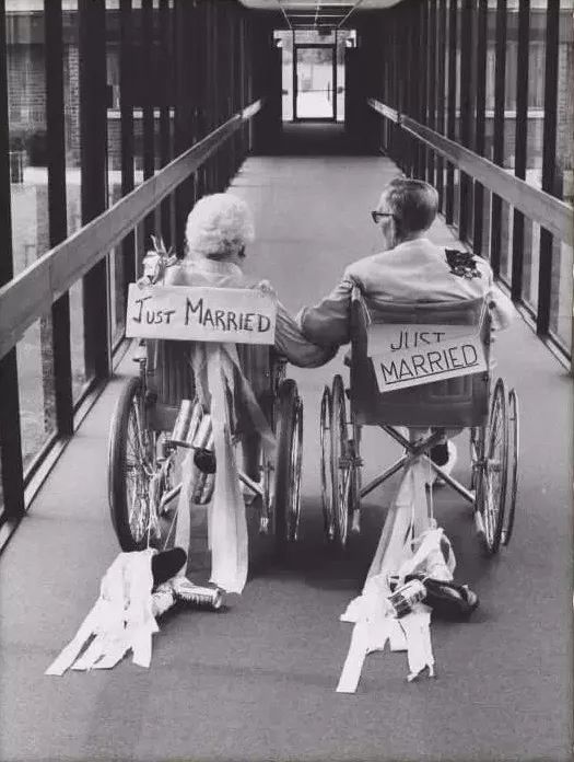 当你老了诗歌原文及赏析（有哪些优美文章）