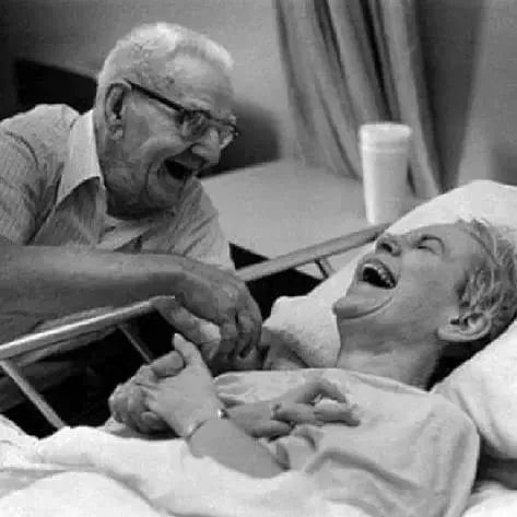 当你老了诗歌原文及赏析（有哪些优美文章）