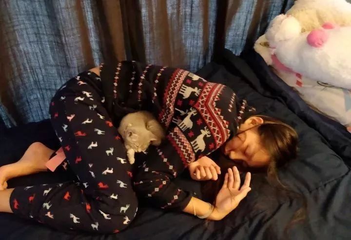 朋友圈晒猫说什么（朋友圈夸猫可爱的句子文案）