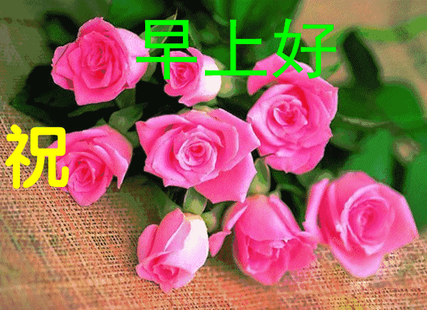 祝别人幸福的句子（祝别人幸福的句子古风）