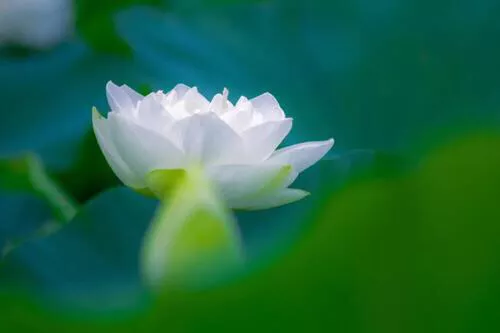 关于四季的现代诗有哪些（以春夏秋冬为主题的诗歌）