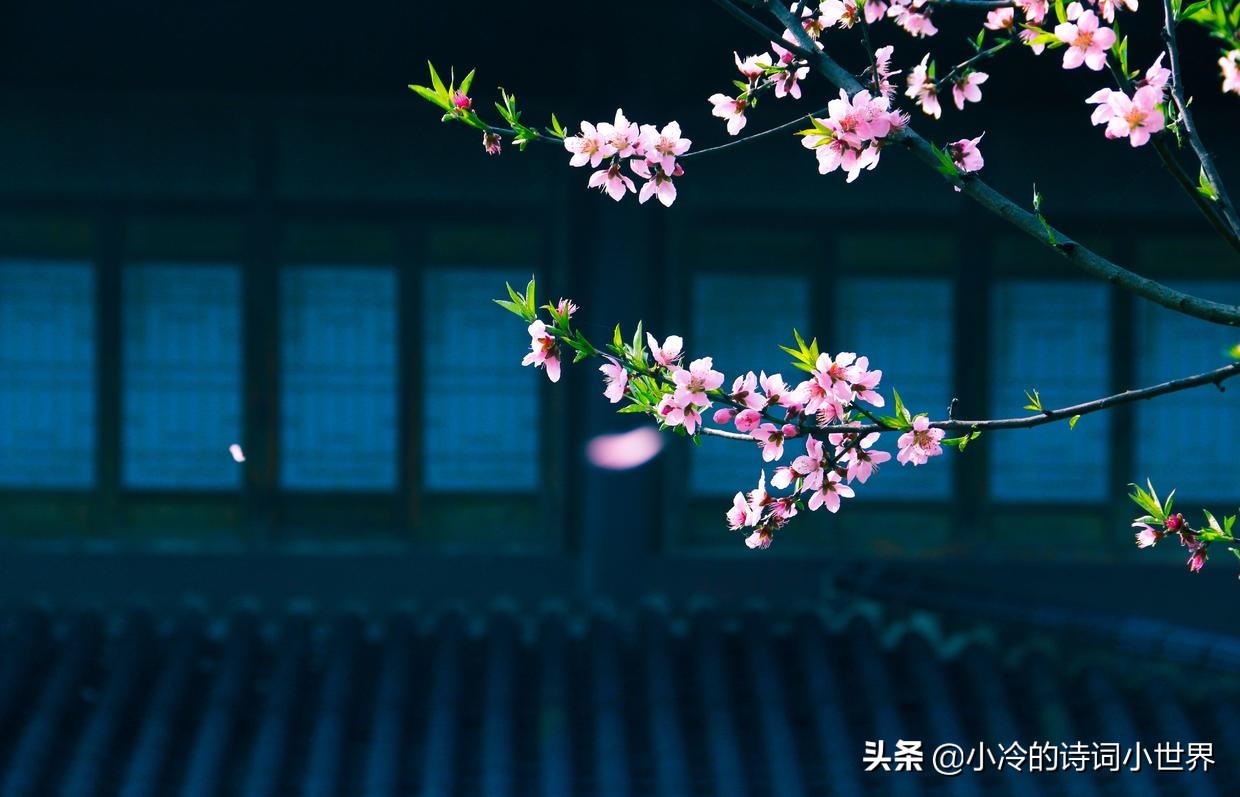 早冬白居易赏析（早冬白居易阅读答案）