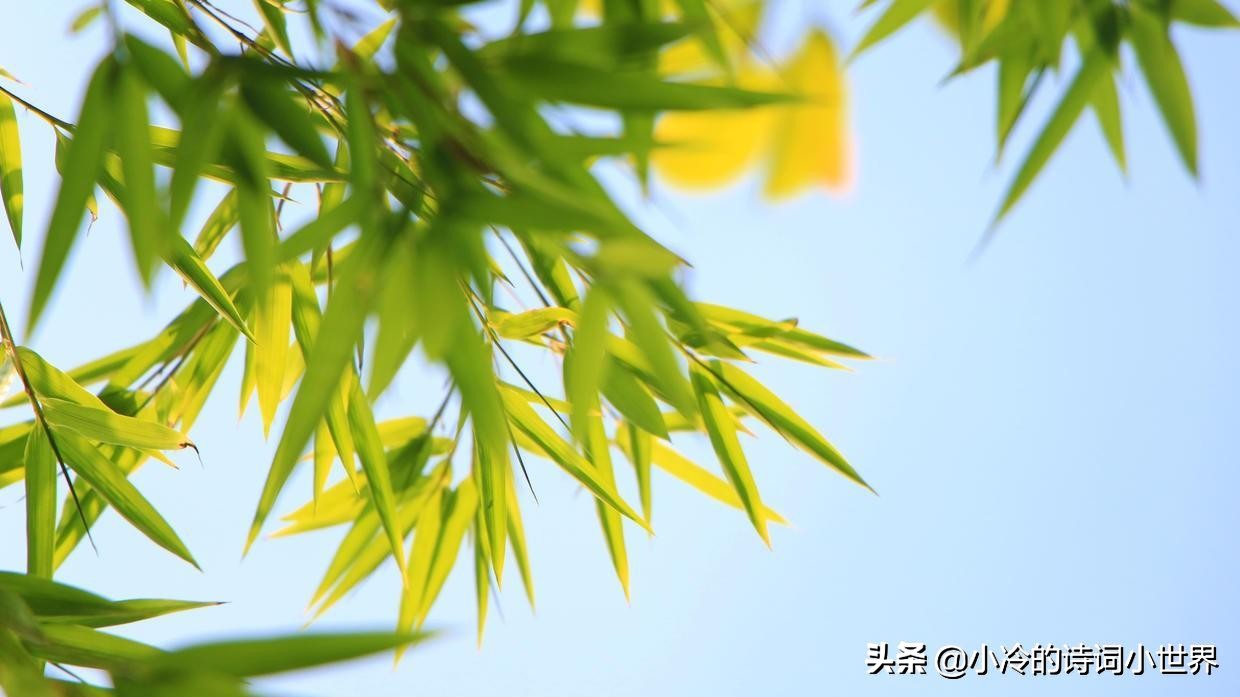 早冬白居易赏析（早冬白居易阅读答案）