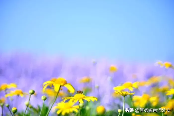 感谢的诗句古诗大全（关于感恩的古诗四句）
