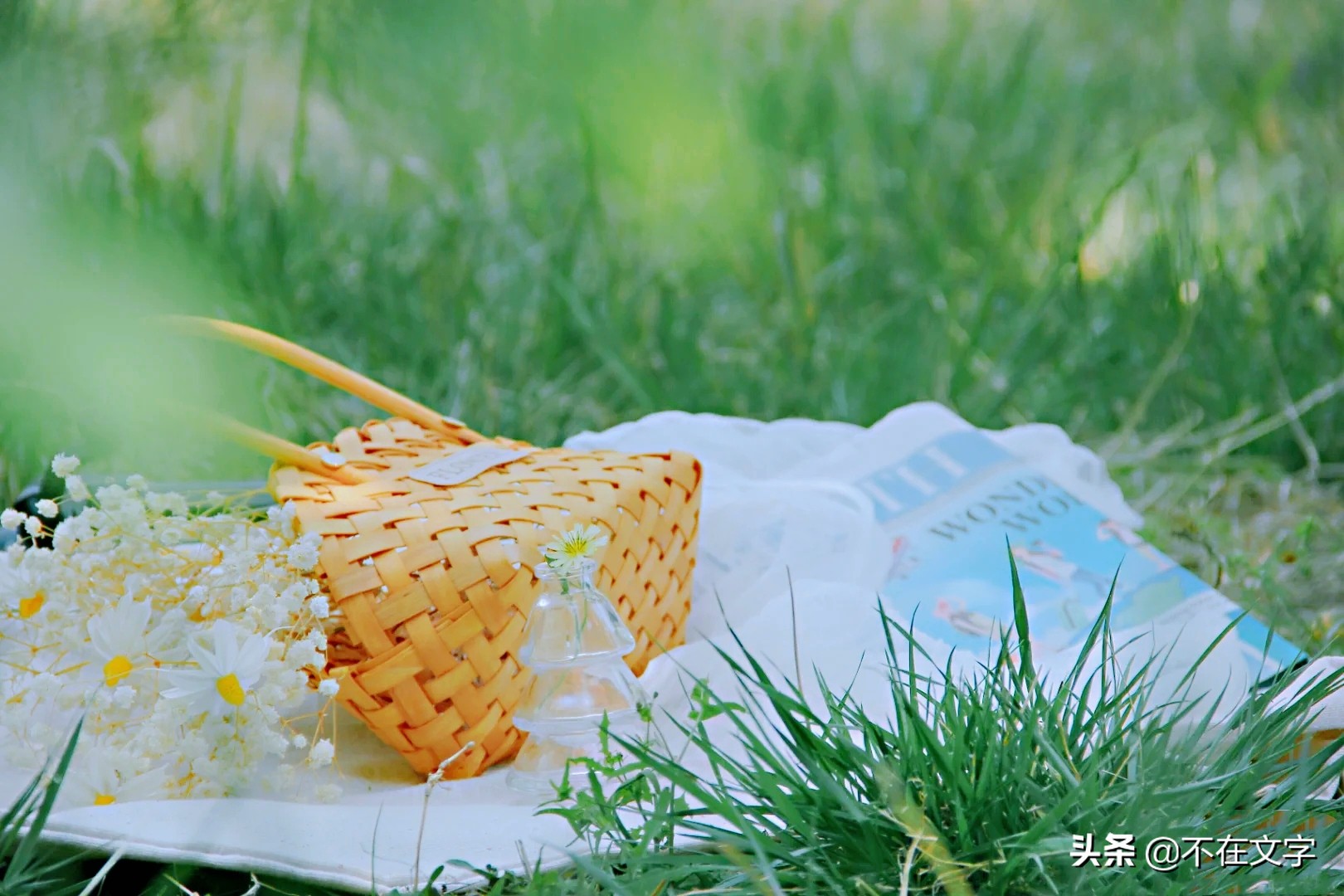 描写夏天的优美句子（夏天的好句子简短）