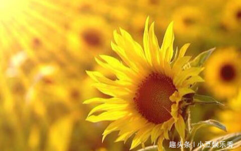 展望未来的励志诗句（展望未来八个字激励短句）