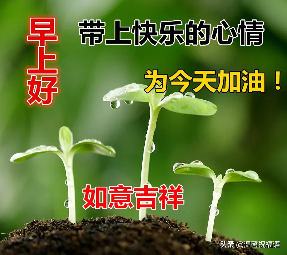 认识朋友一种缘分句子（遇见是一种缘分的短语）