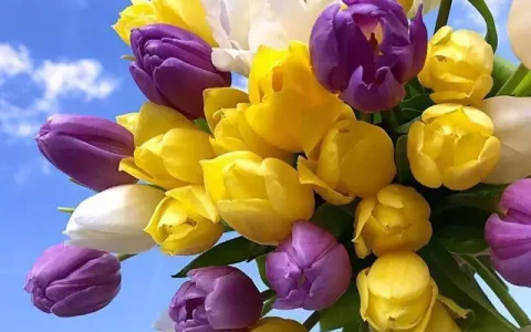 值得细细品读的人生金句