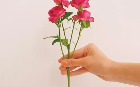 至爱至深的爱情经典句子