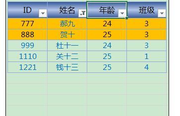 Excel2013中进行颜色筛选的操作方法