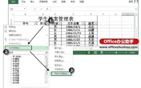 Excel表格中怎么使用通配符筛选文本