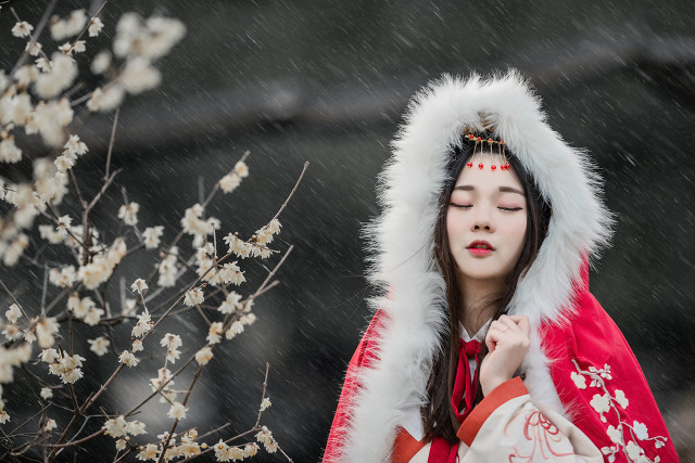 带有梅花的诗句有哪些（含有梅花的诗句大全）