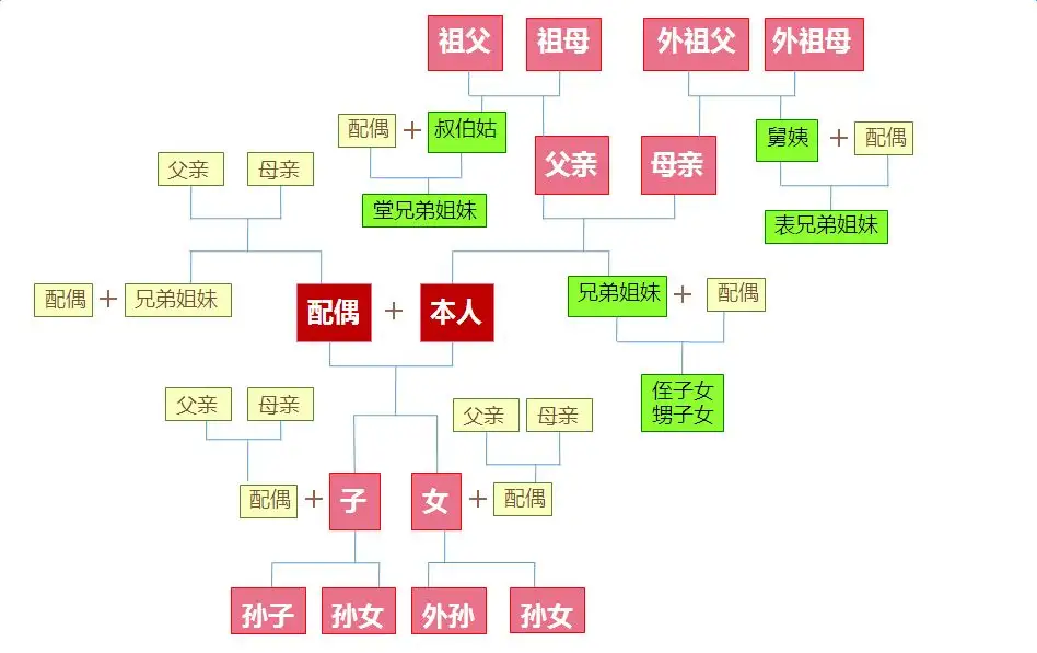 直系亲属有哪些（直系亲属一览表）