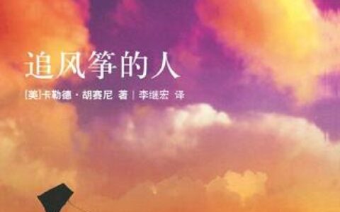 「追风筝的人」读书笔记2500字(2)篇