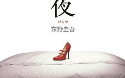 「幻夜」读书笔记2500字(2)篇