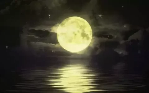 传统文化 |我们的节日·中秋节