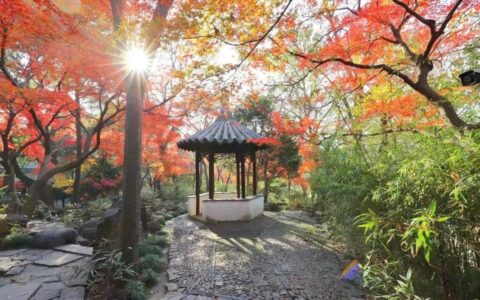 10首秋日五言诗，赏一抹秋韵，染一缕相思