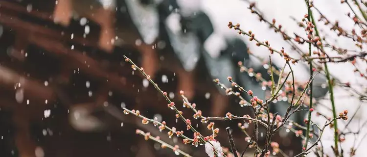 纳兰容若最深情的一首秋雨词，令人心疼！