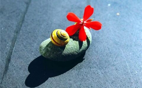 十月暖心微信说说：句句经典，给自己加油