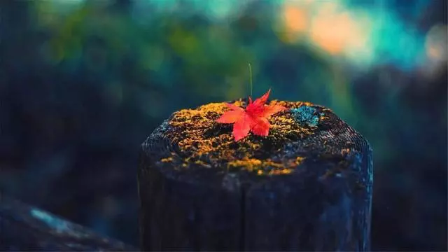 句子很短，却很温柔，治愈系文案