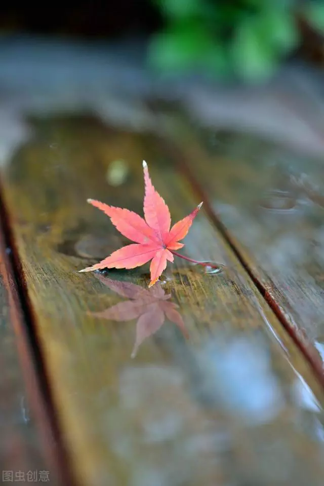 人生秋雨清凉心