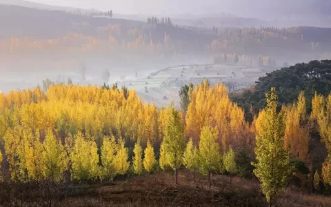 最美的10篇古文，一生至少要读一次，太治愈了！