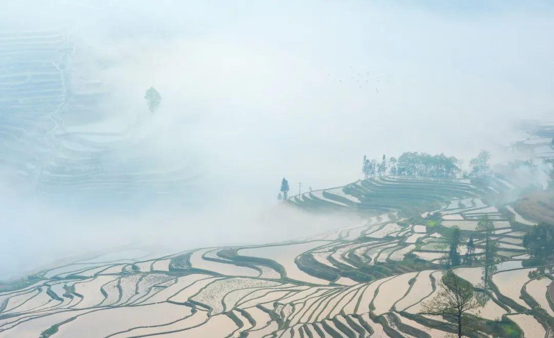 孔子最经典的10句话，影响中国千年，每一句都可以做座右铭