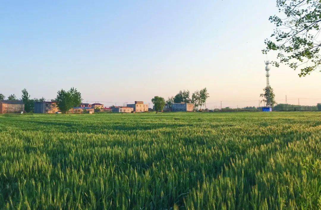 孔子最经典的10句话，影响中国千年，每一句都可以做座右铭