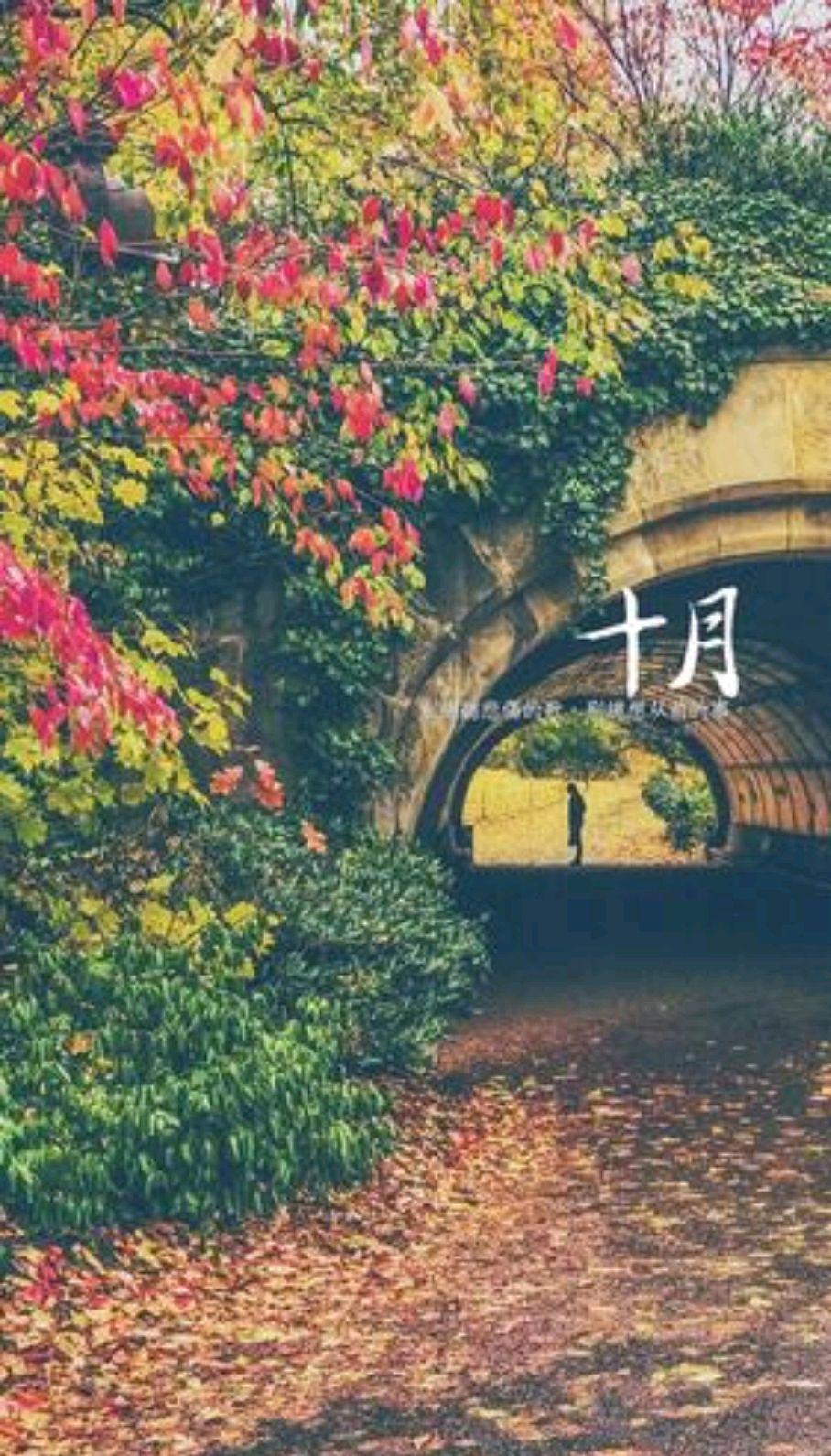 散文：十月，愿一切美好如约而至
