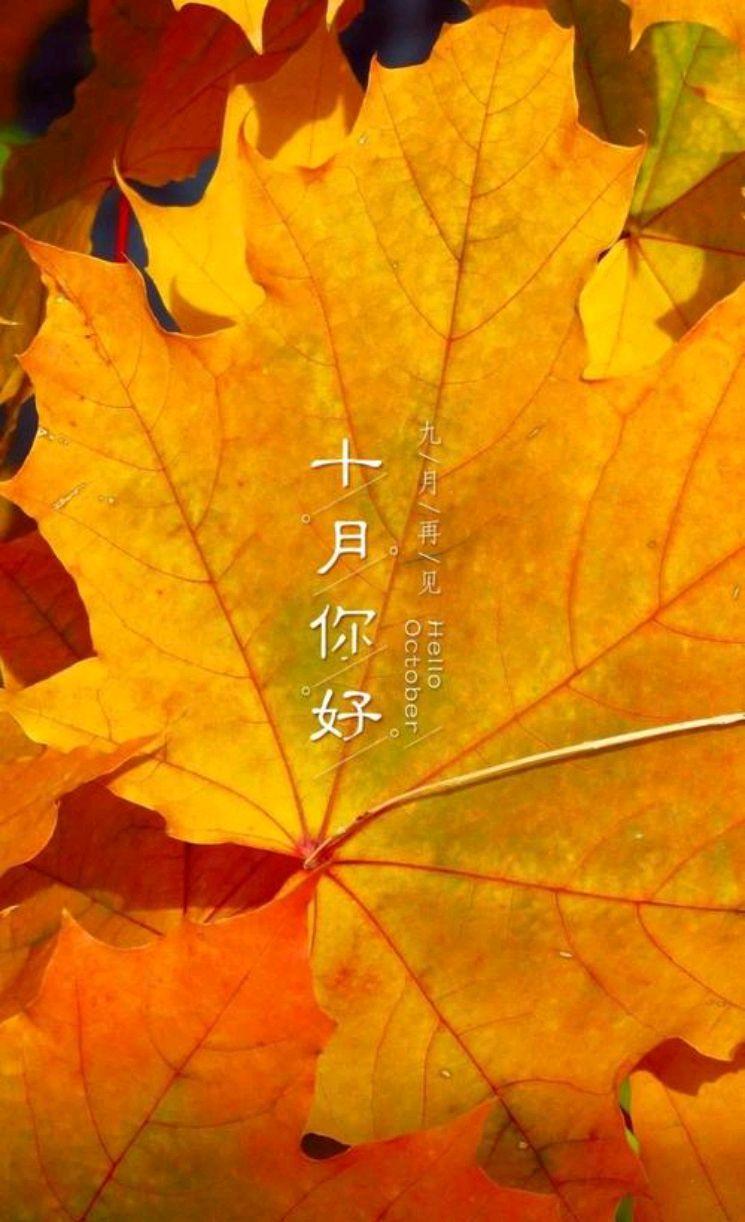 散文：十月，愿一切美好如约而至
