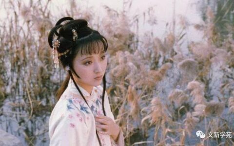 十月美文：葬花情深处，愿如初