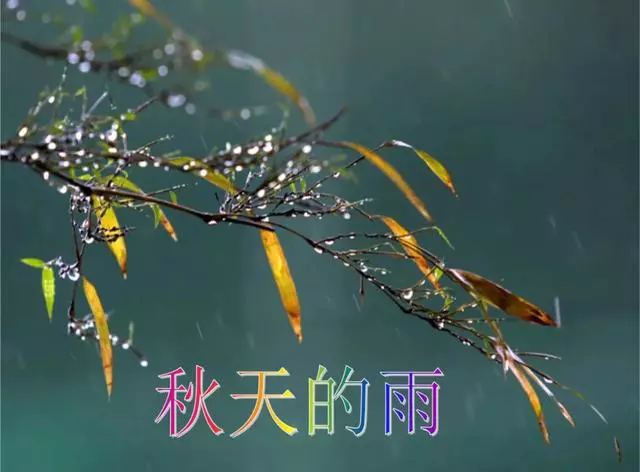 描写秋天的雨唯美句子