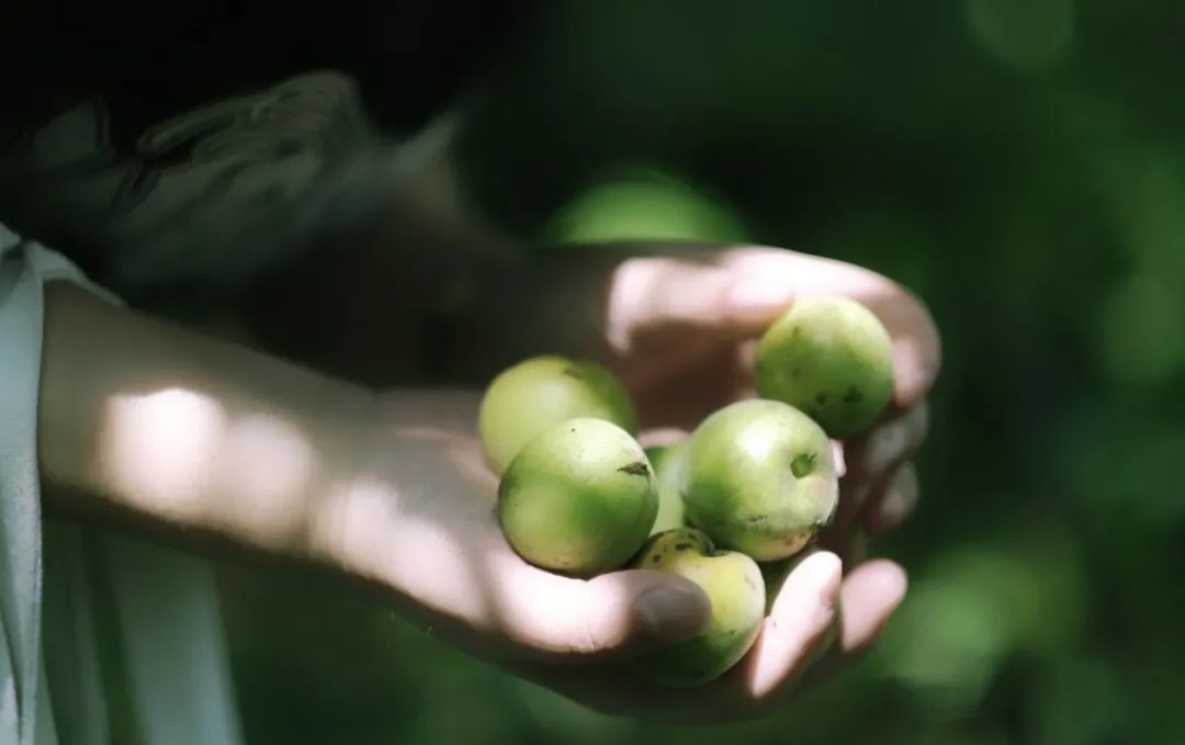 美到极致的八字短句，句句经典句句爱