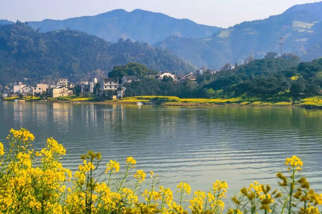 美到极致的八字短句，句句经典句句爱