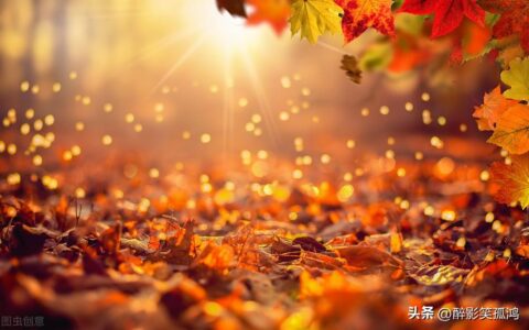 描写秋天的优美句子大全，孩子用在作文里增添文采