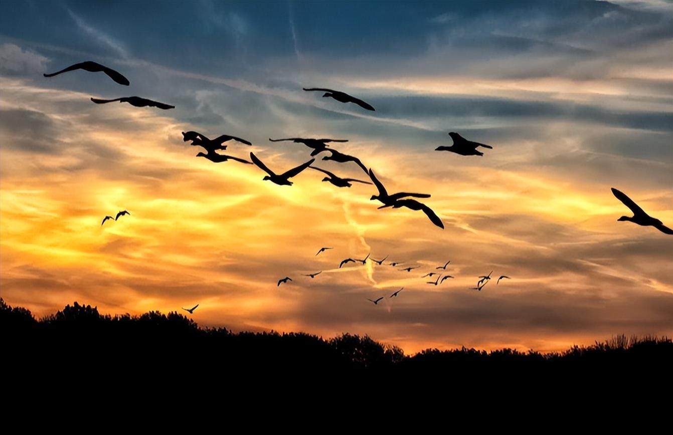 史上最精彩的9首“秋天”相关七律，杜甫《秋兴八首》其一仅列第5