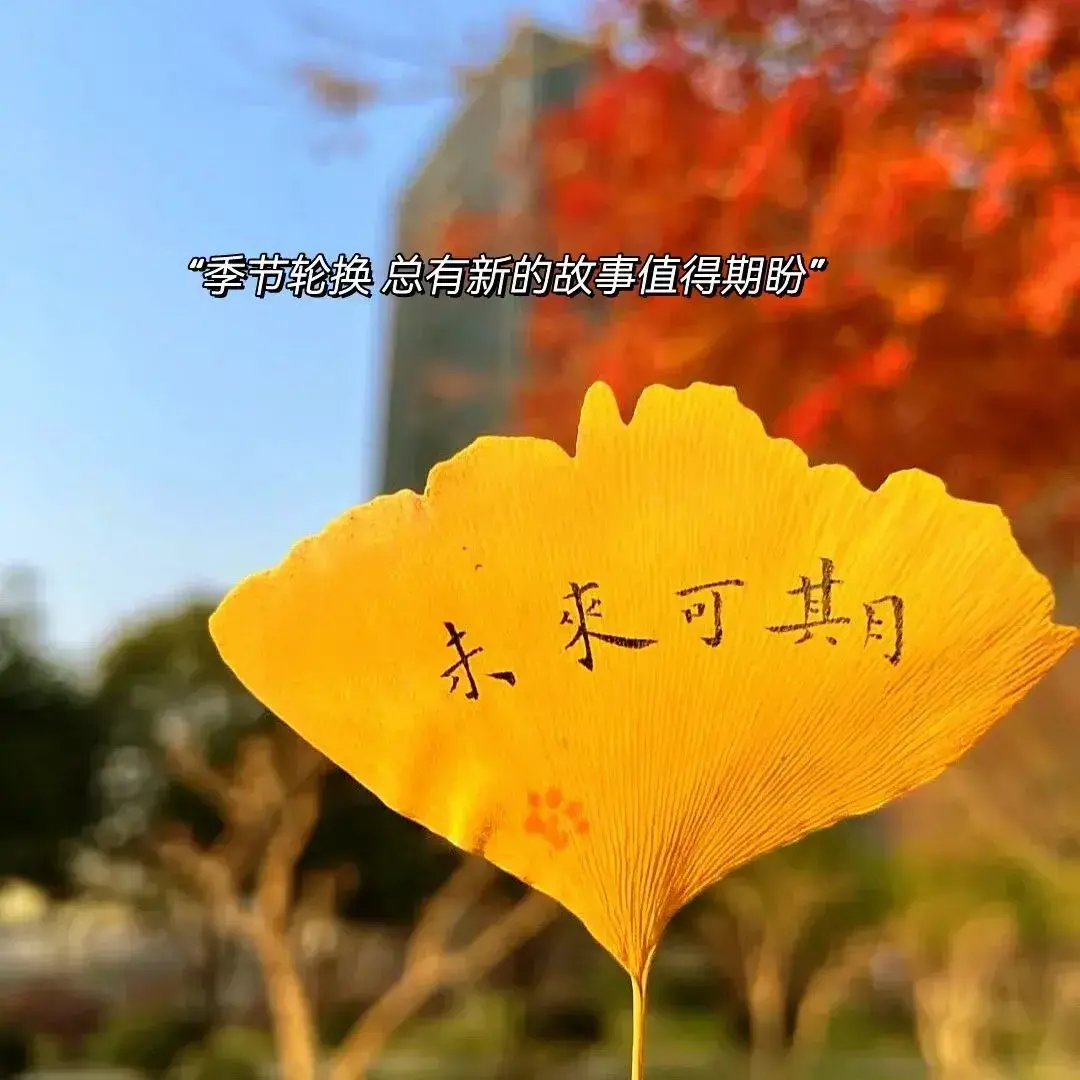 适合秋天的浪漫文案短句