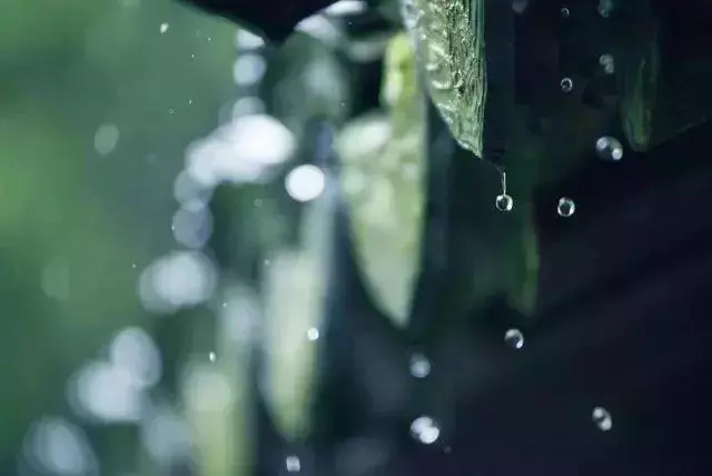 十首秋雨诗词，十种心情，你是哪一种？